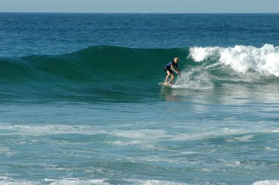 DSC_2731.JPG