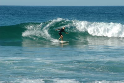 DSC_2732.JPG