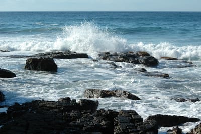 DSC_2741.JPG