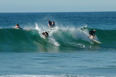 DSC_2744.JPG