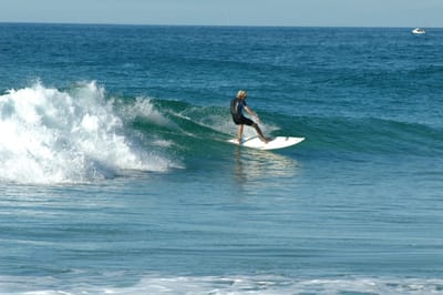 DSC_2745.JPG