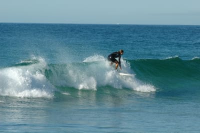 DSC_2749.JPG