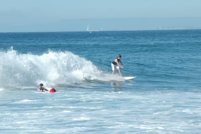 DSC_2757.JPG