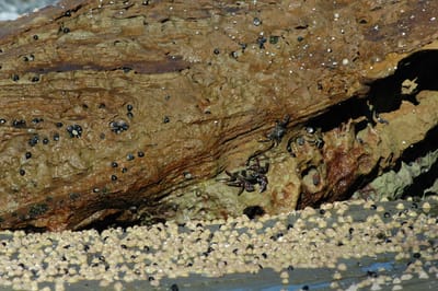 DSC_2758.JPG