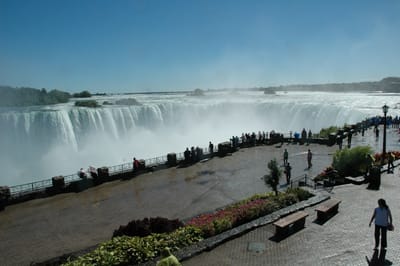 DSC_4110.JPG