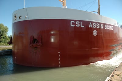 DSC_4158.JPG