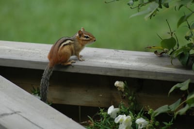 DSC_4189.JPG