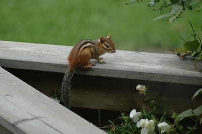 DSC_4190.JPG