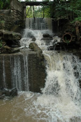 DSC_4196.JPG