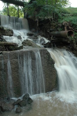 DSC_4202.JPG