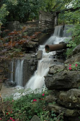 DSC_4203.JPG
