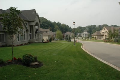DSC_4220.JPG