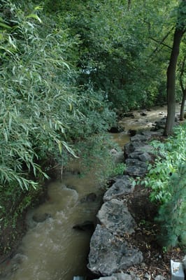 DSC_4223.JPG