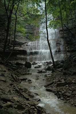 DSC_4226.JPG