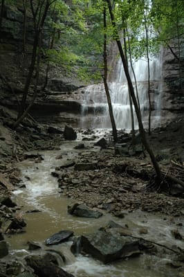 DSC_4230.JPG