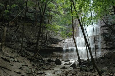 DSC_4231.JPG