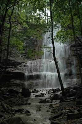 DSC_4232.JPG