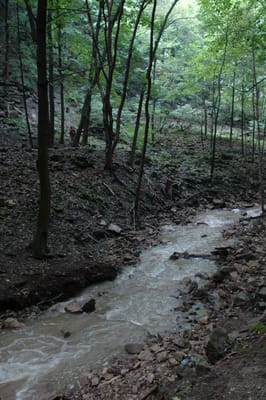 DSC_4235.JPG