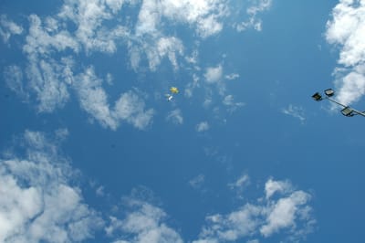 DSC_4386.JPG