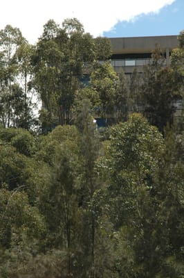 DSC_4391.JPG