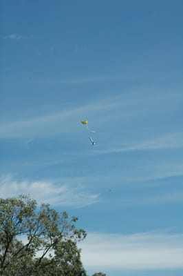 DSC_4397.JPG