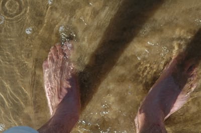 DSC_2823.JPG