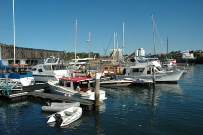 DSC_2989.JPG