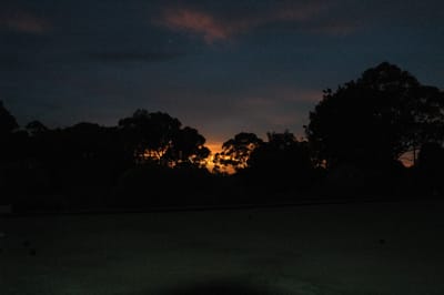 DSC_5116.JPG