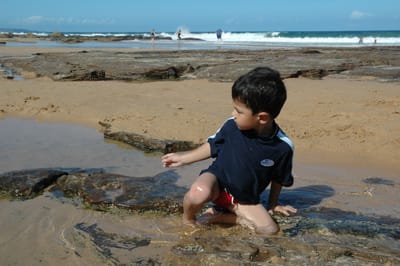 DSC_2515.JPG