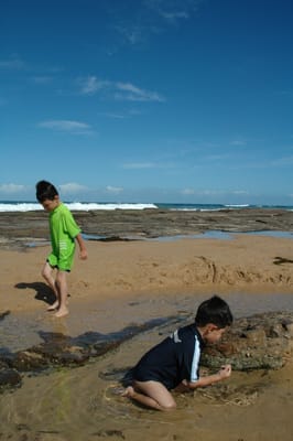 DSC_2519.JPG