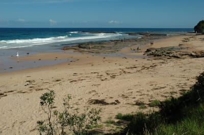 DSC_2527.JPG