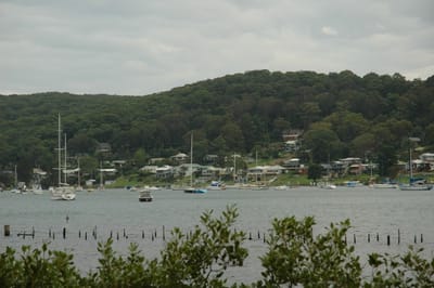 DSC_2981.JPG