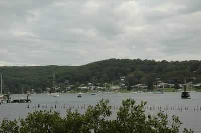 DSC_2982.JPG
