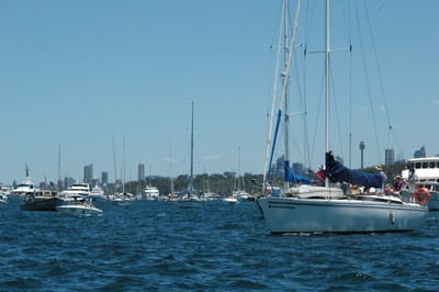 DSC_5325.JPG