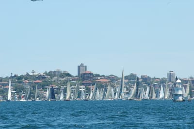 DSC_5330.JPG