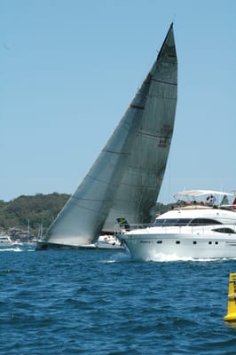 DSC_5333.JPG