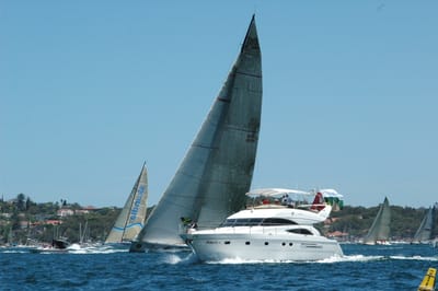 DSC_5334.JPG