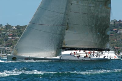 DSC_5335.JPG