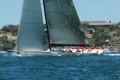 DSC_5337.JPG