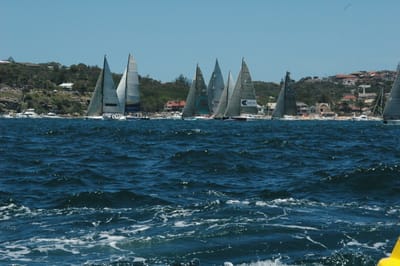 DSC_5338.JPG