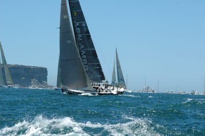 DSC_5339.JPG