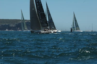DSC_5340.JPG