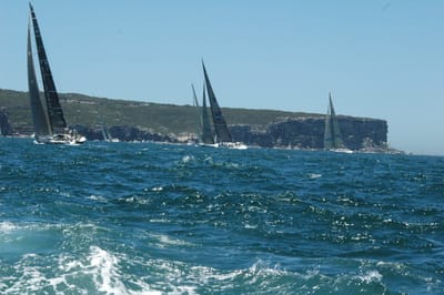 DSC_5341.JPG
