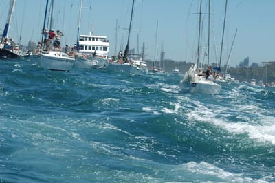 DSC_5345.JPG