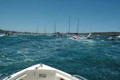 DSC_5351.JPG