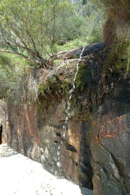 DSC_5432.JPG