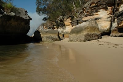 DSC_5441.JPG