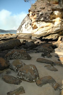 DSC_5442.JPG