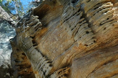 DSC_5444.JPG