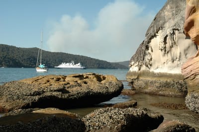 DSC_5445.JPG
